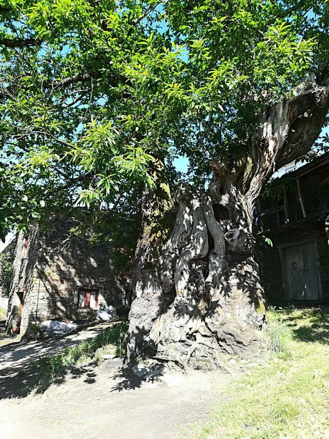 Casa Simon Hotel ตริอากาสเตลา ภายนอก รูปภาพ